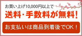 グ10,000~ȏőE萔I